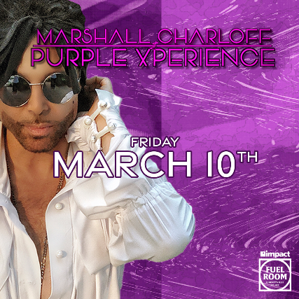 The Purple xPeRIeNCE - Prince Tribute image