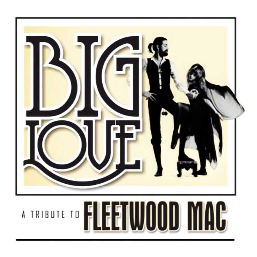 Fleetwood Mac Tribute - Big Love image